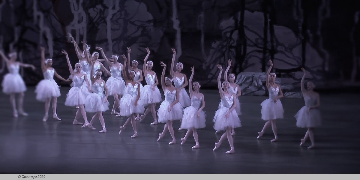 Scene 4 from the ballet "Swan Lake", photo 1