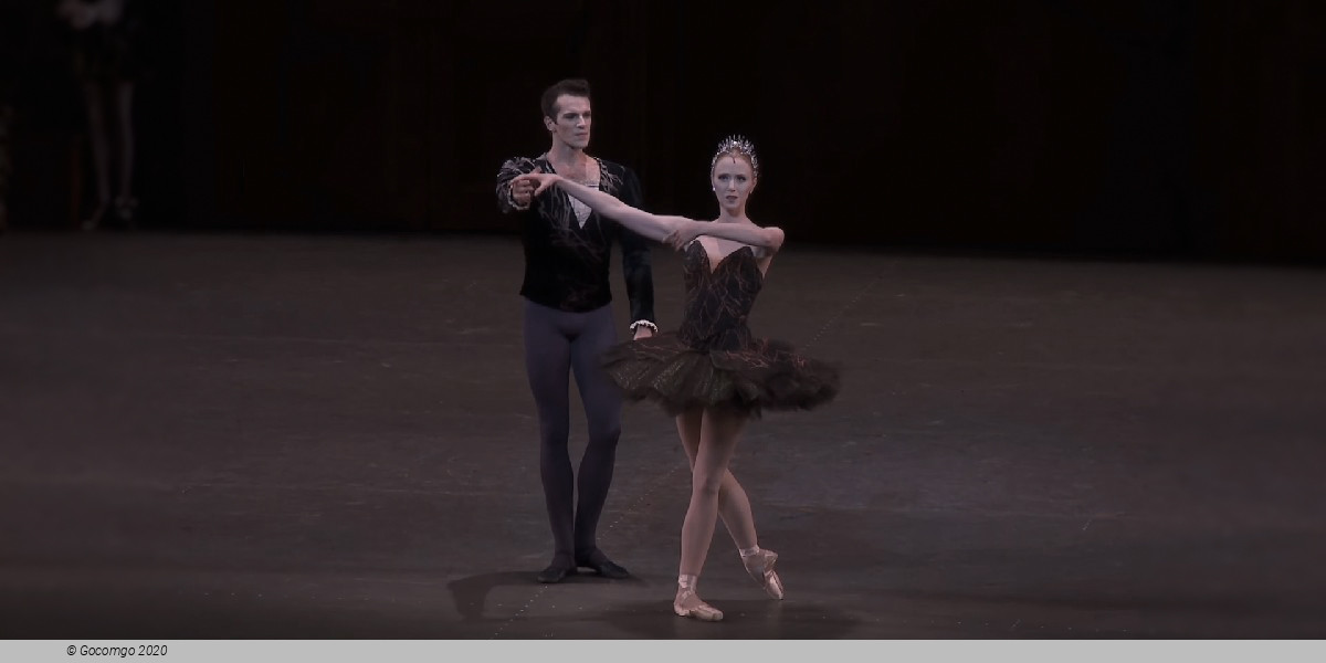 Scene 8 from the ballet "Swan Lake", photo 20