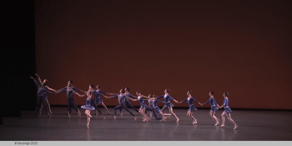 Year of the Rabbit, photo 17