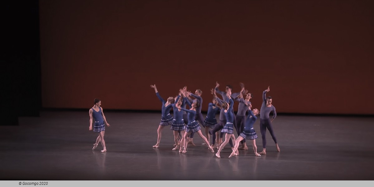 Year of the Rabbit, photo 18