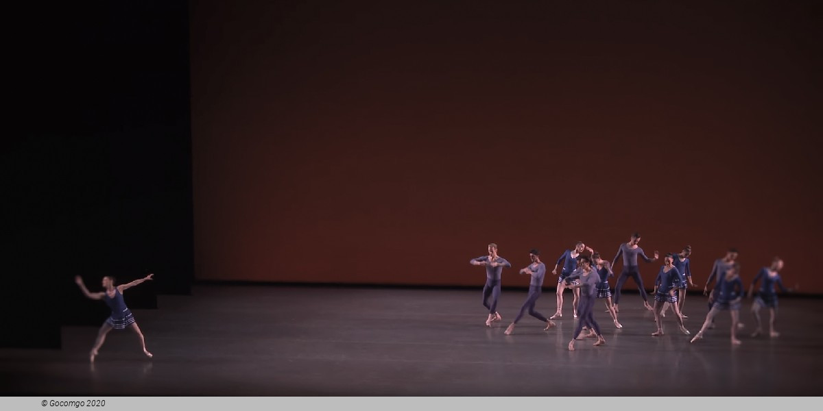 Year of the Rabbit, photo 19