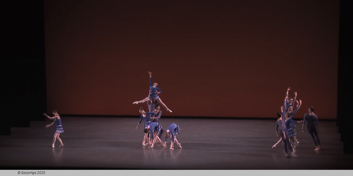 Year of the Rabbit, photo 20