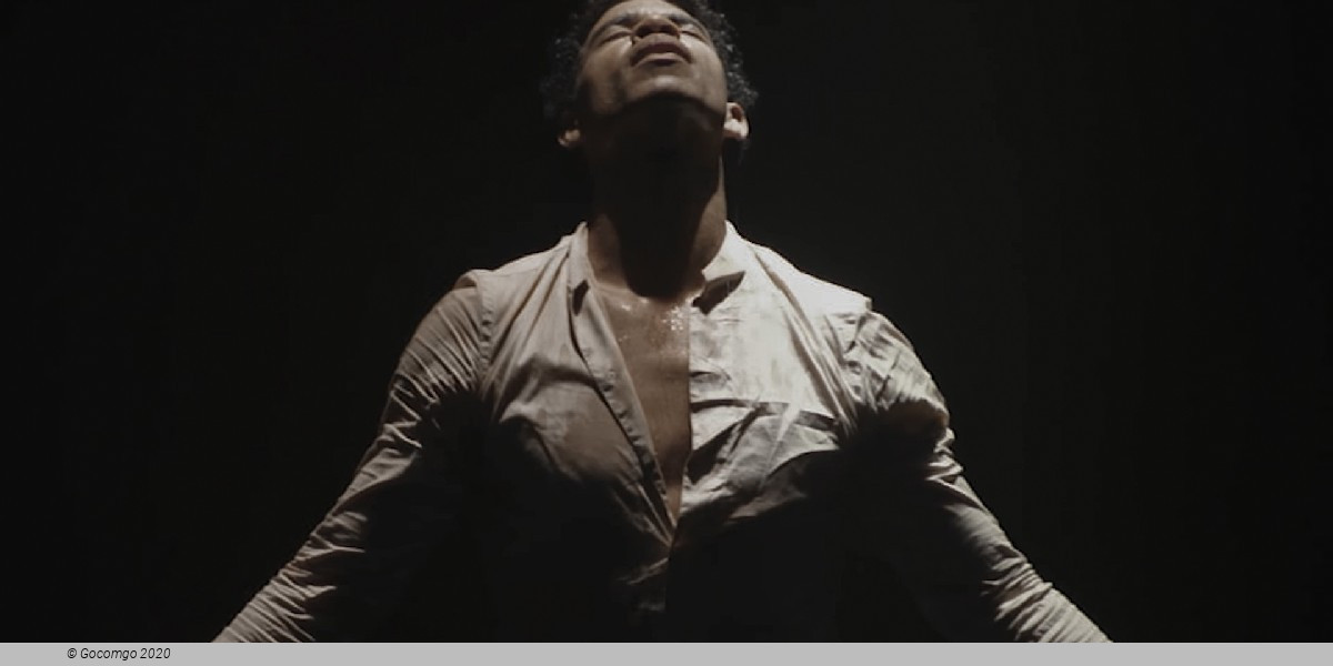 Acosta Danza Up Close