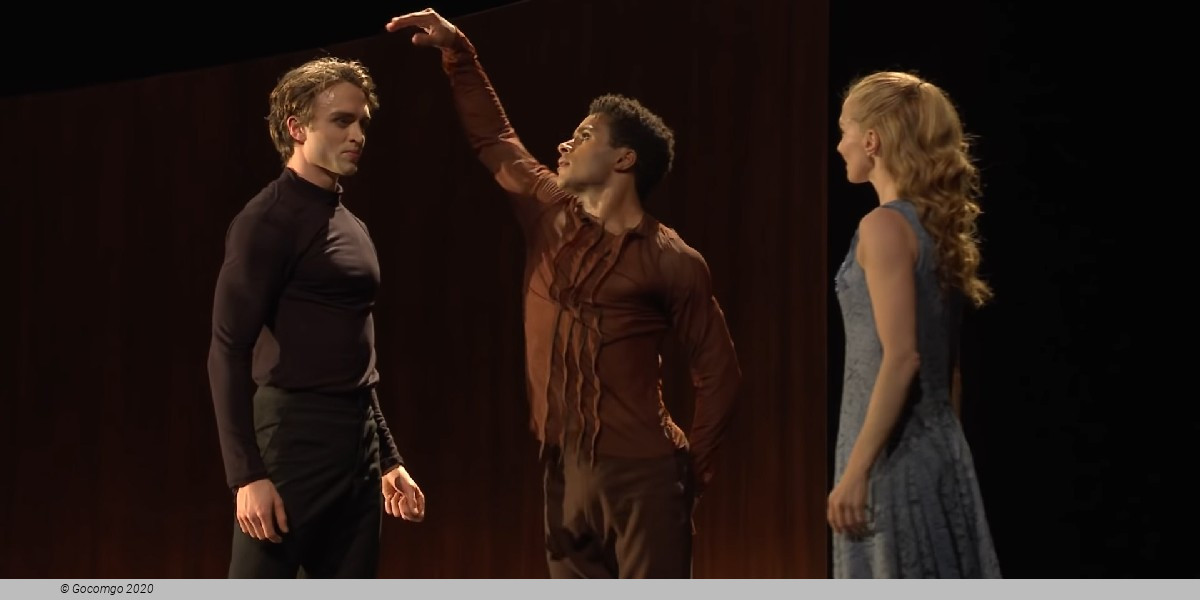 The Cellist, photo 9