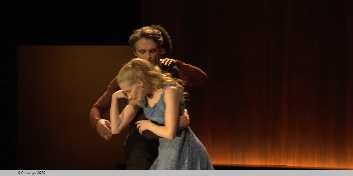 The Cellist, photo 11