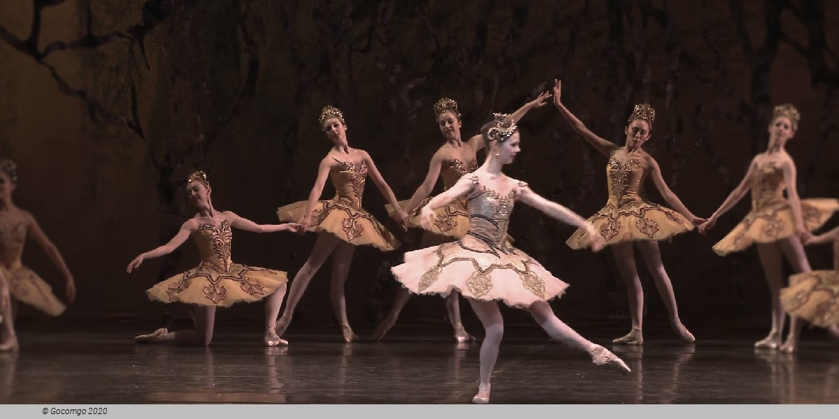 Rudolf Nureyev's The Sleeping Beauty