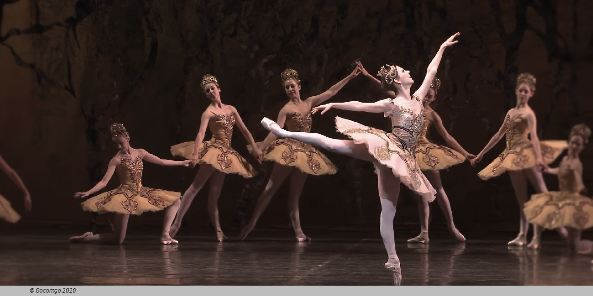 Rudolf Nureyev's The Sleeping Beauty