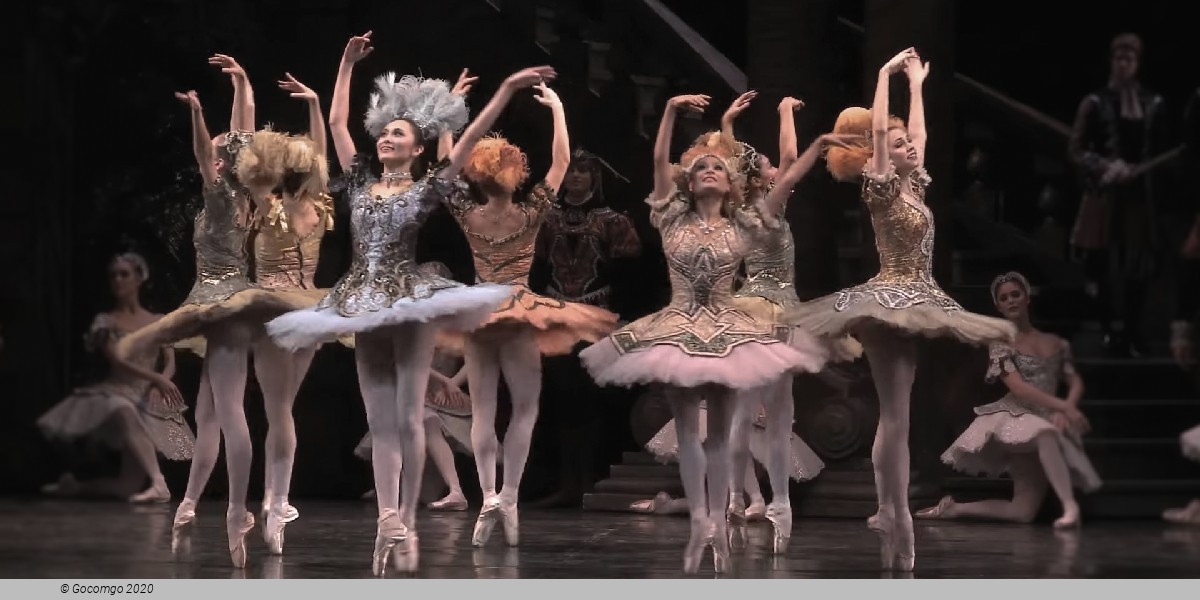 Rudolf Nureyev's The Sleeping Beauty