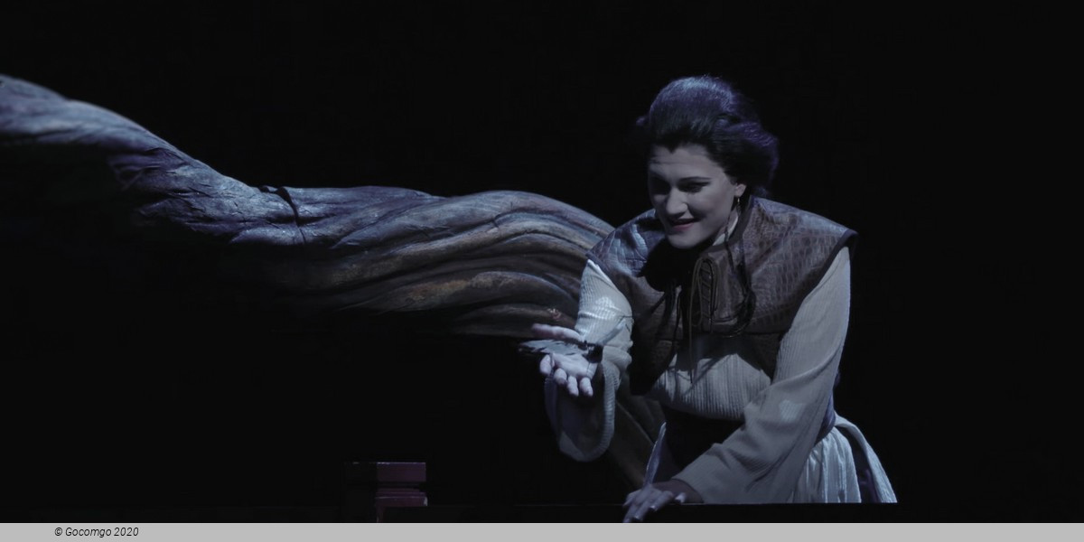 The Nightingale, photo 3