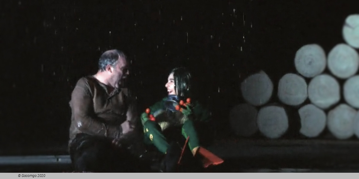 The Cunning Little Vixen, photo 5