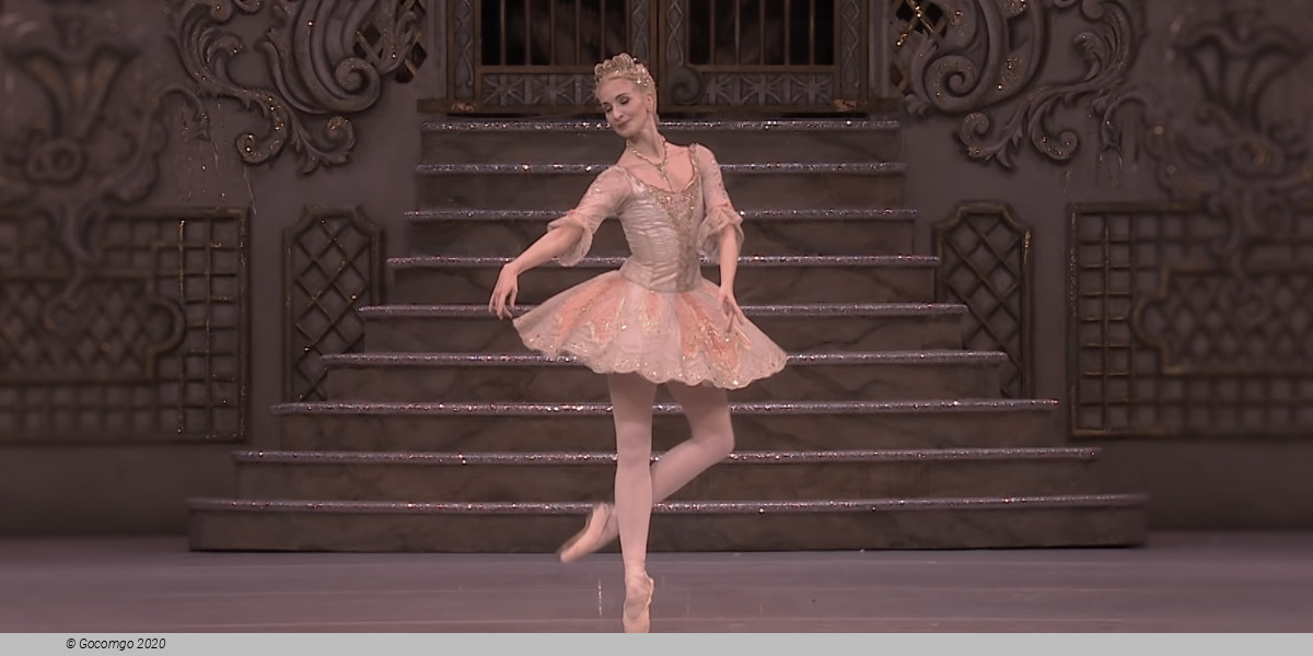 The Nutcracker, photo 3