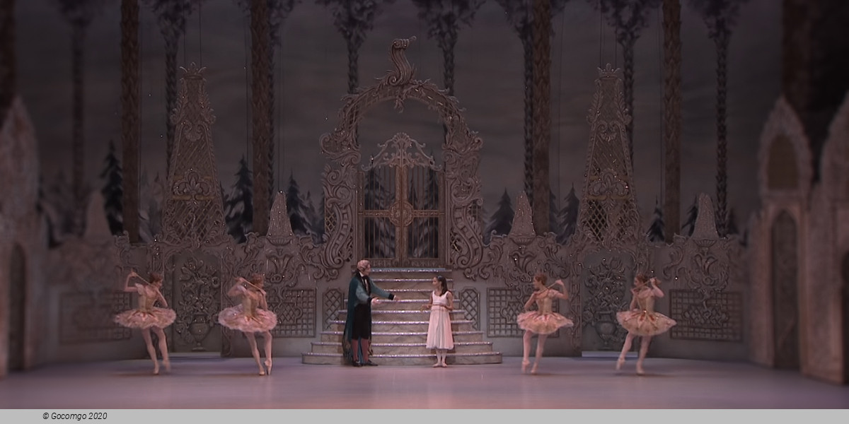 The Nutcracker, photo 5