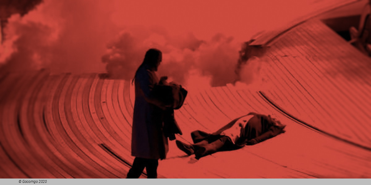 Die Walküre, photo 6