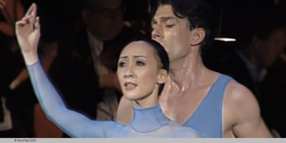 Soto | Scholz | Schröder, photo 1