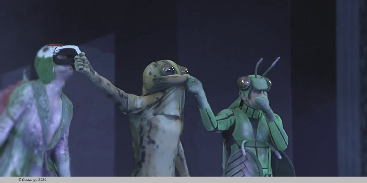 Alice in Wonderland, photo 3