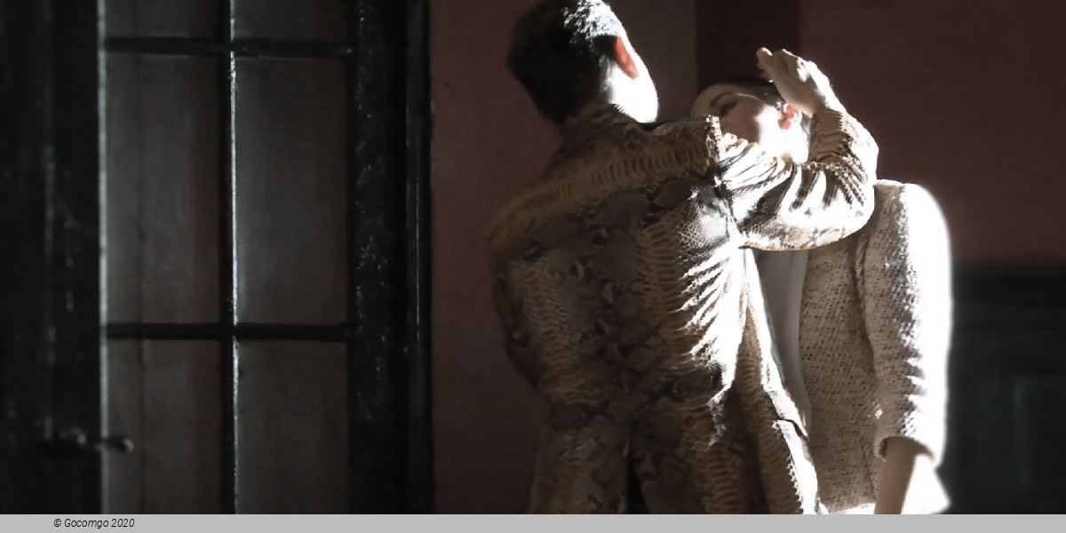 Il trovatore, photo 2