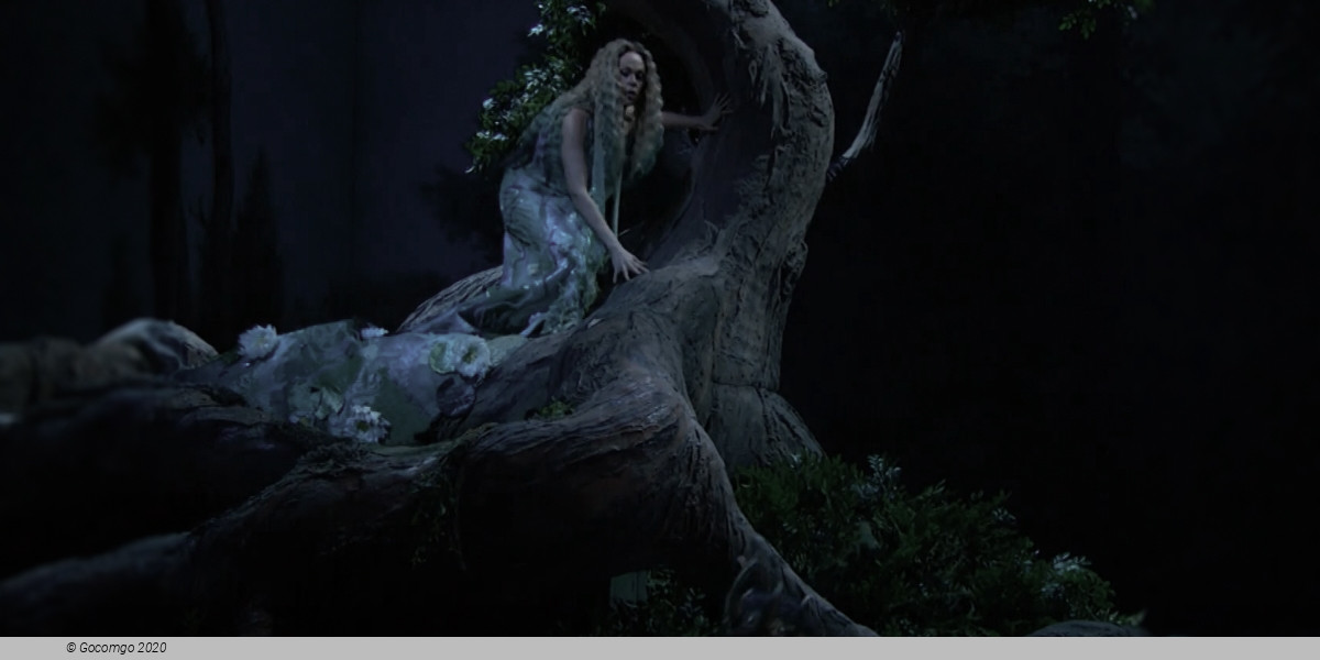 Rusalka, photo 2