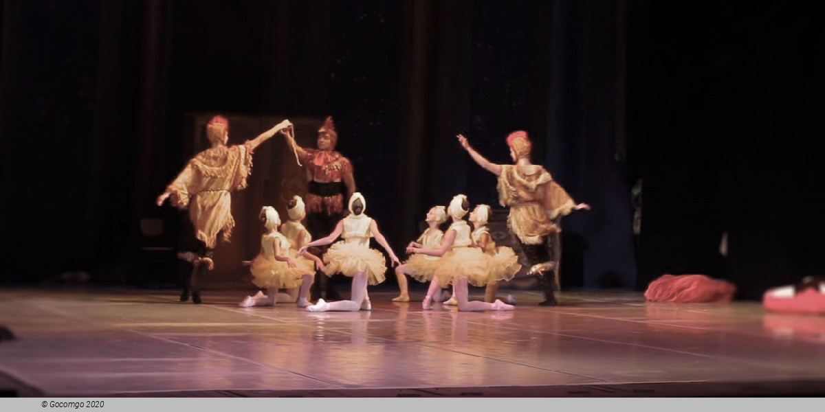 The Carnival of Animals, photo 3