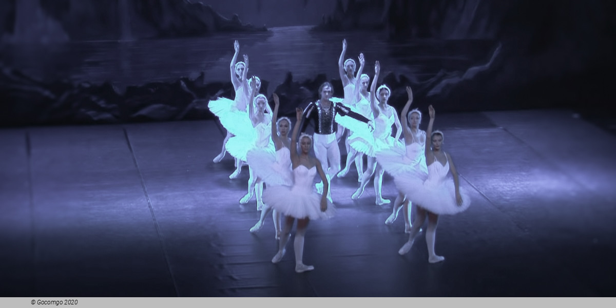 Swan Lake