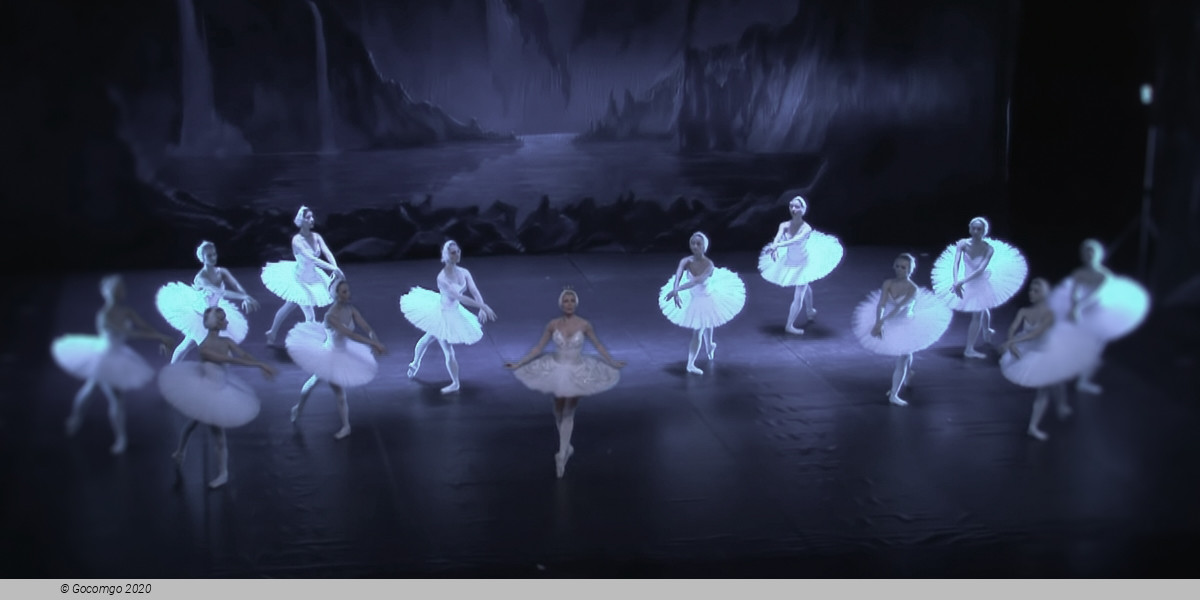 Swan Lake, photo 6