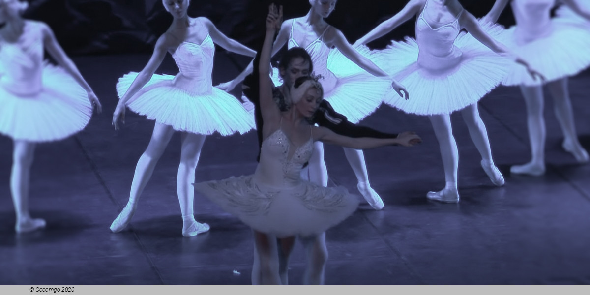 Swan Lake