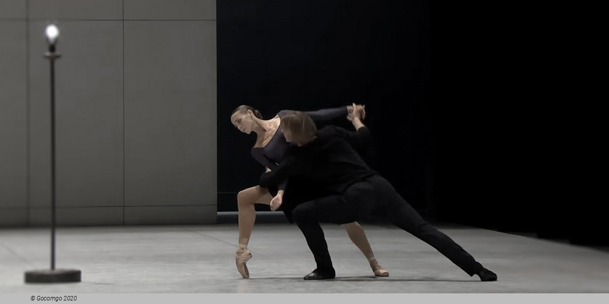 Ghost Light, photo 6