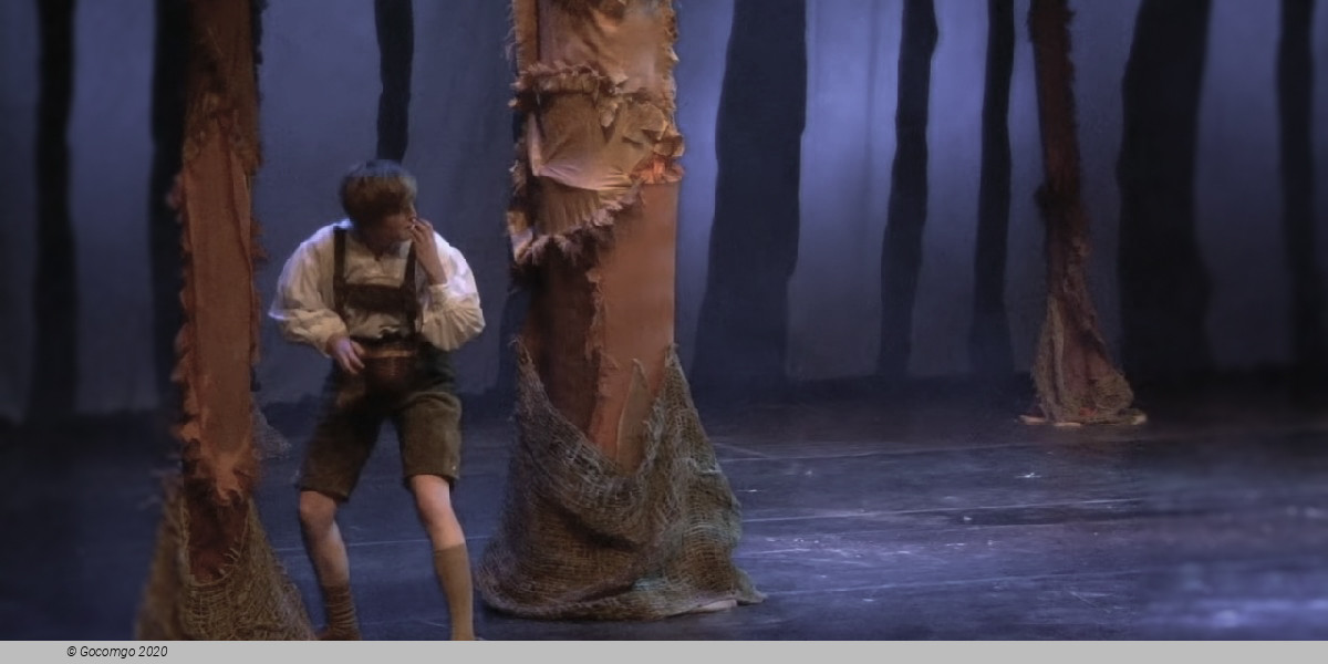 Hansel and Gretel, photo 4