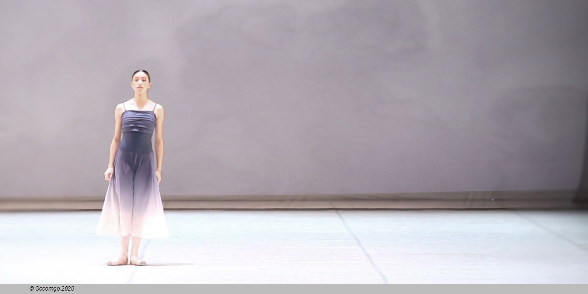 All Our Yesterdays, photo 3