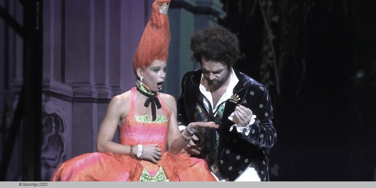 König Karotte, photo 4