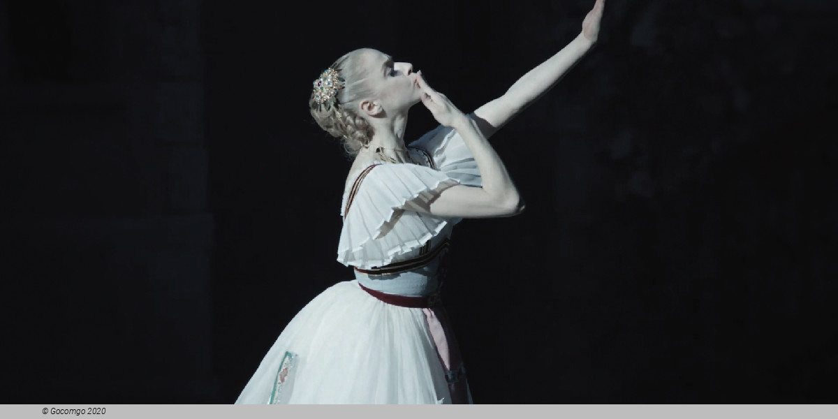 Coppélia, photo 3