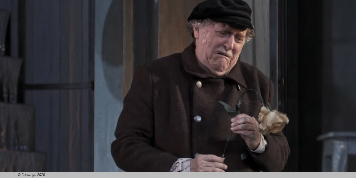 Gräfin Mariza, photo 4