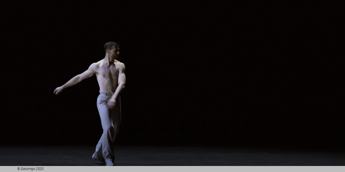 ‘Gods and Dogs’, photo 1