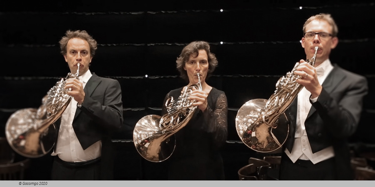 Peter en de Wolf – maar dan anders, photo 1