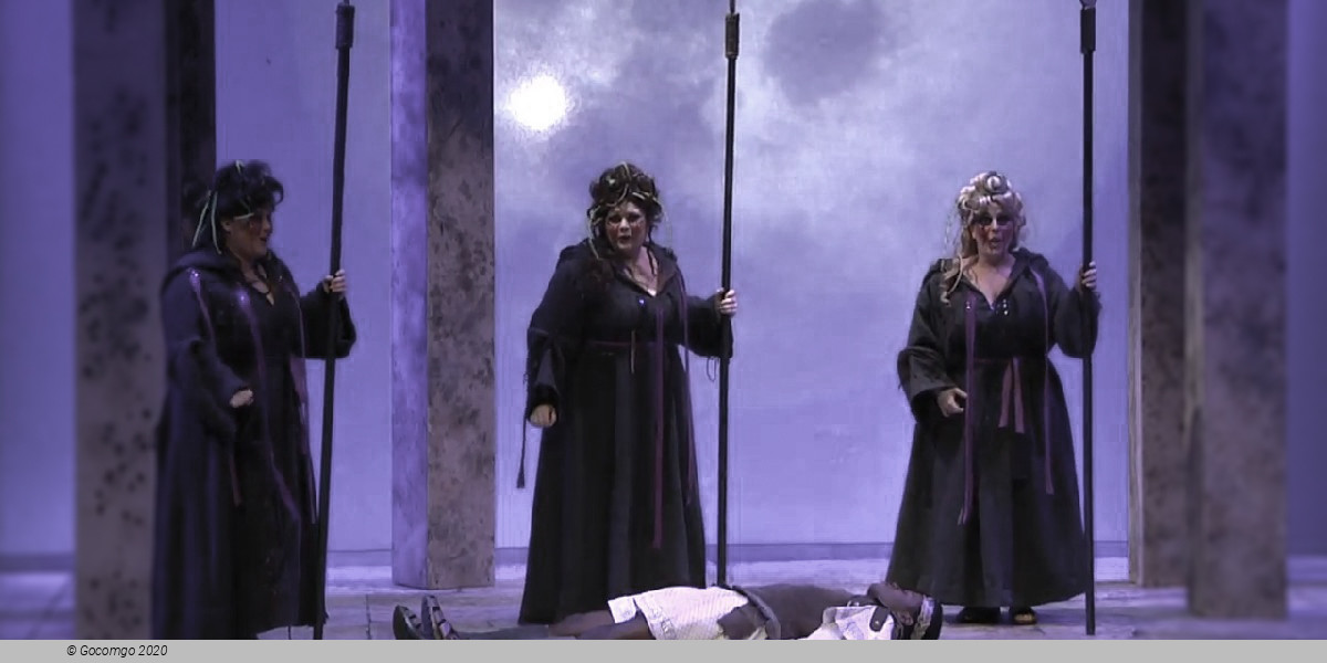 Quick feet, Quick courage, photo 5