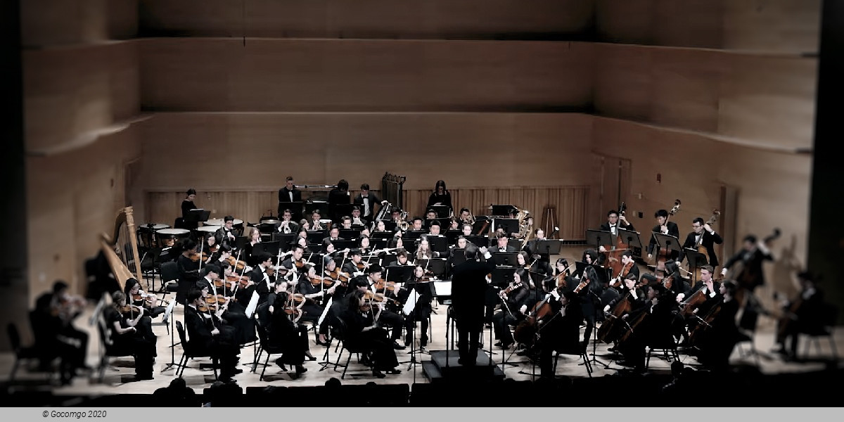 The Metropolitan Youth Orchestra of New York Choral and Orchestral Programs, photo 1