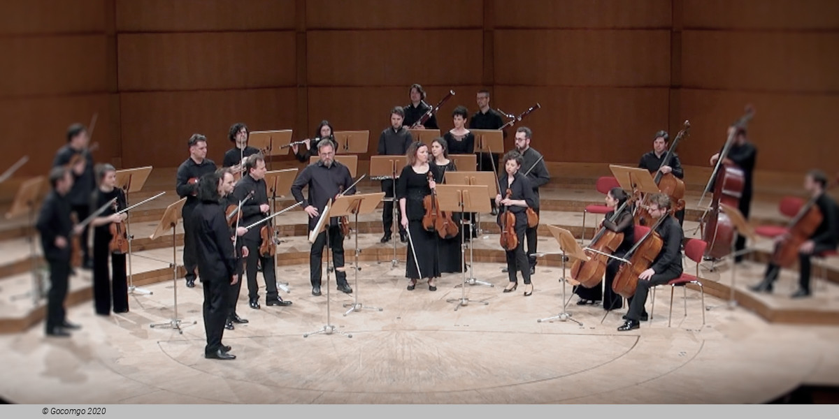 Mischa Maisky / Dogma Chamber Orchestra, photo 1