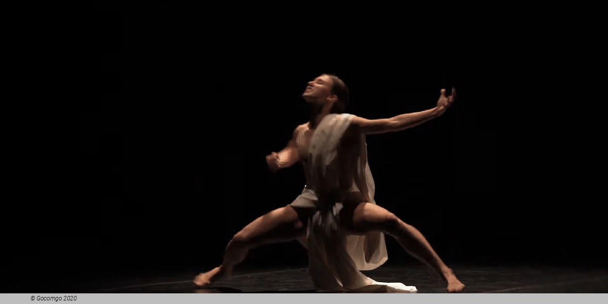 The Young Choreographers Finale, photo 3