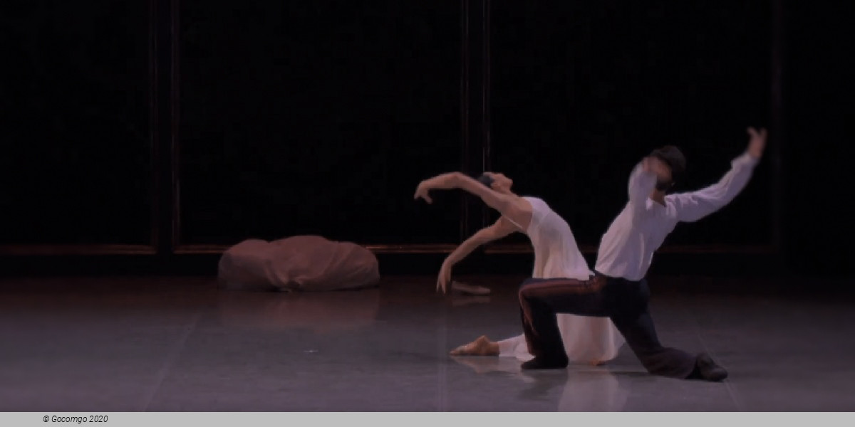 The Buffoon . Schaherazade, photo 3