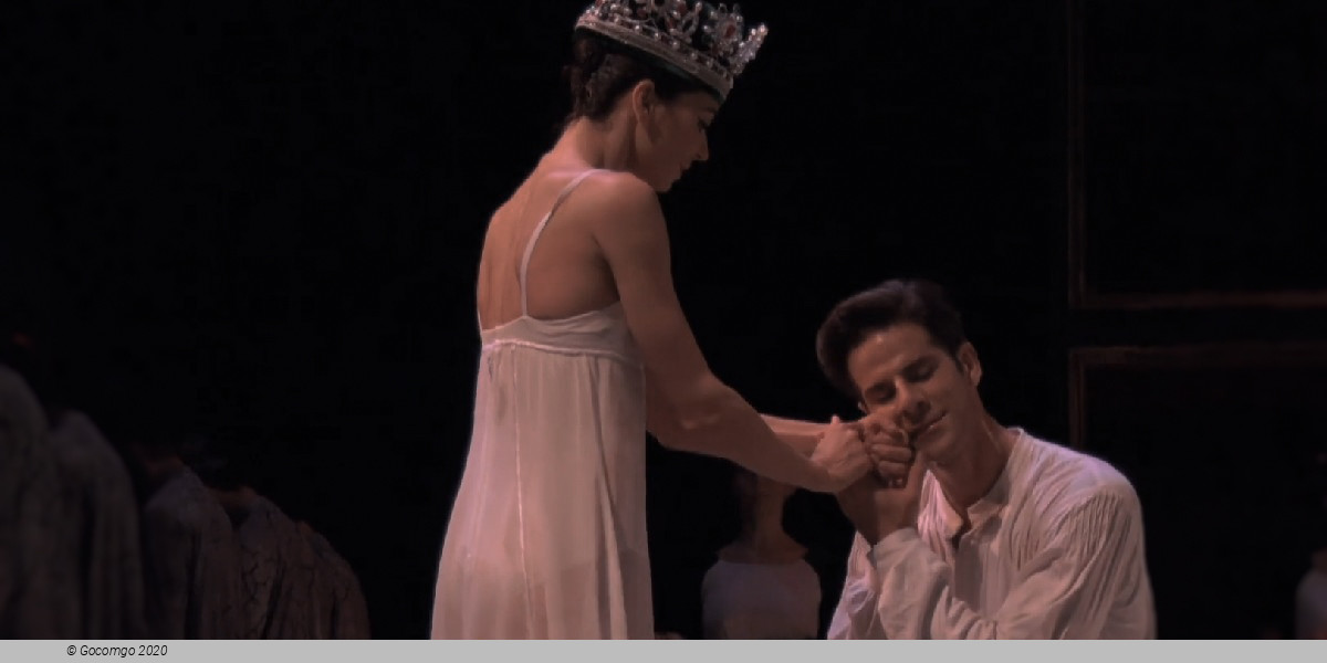 The Buffoon . Schaherazade, photo 4