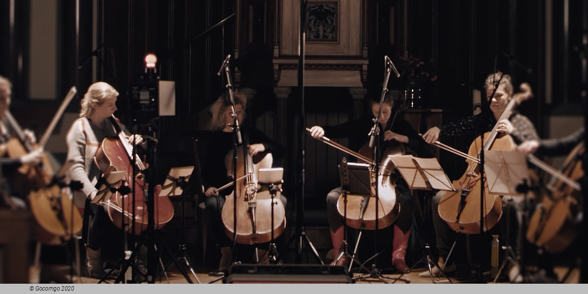 Funkelkonzert L / Cellokrieger, photo 1