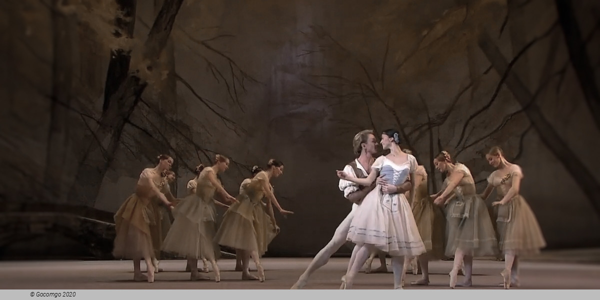 Giselle