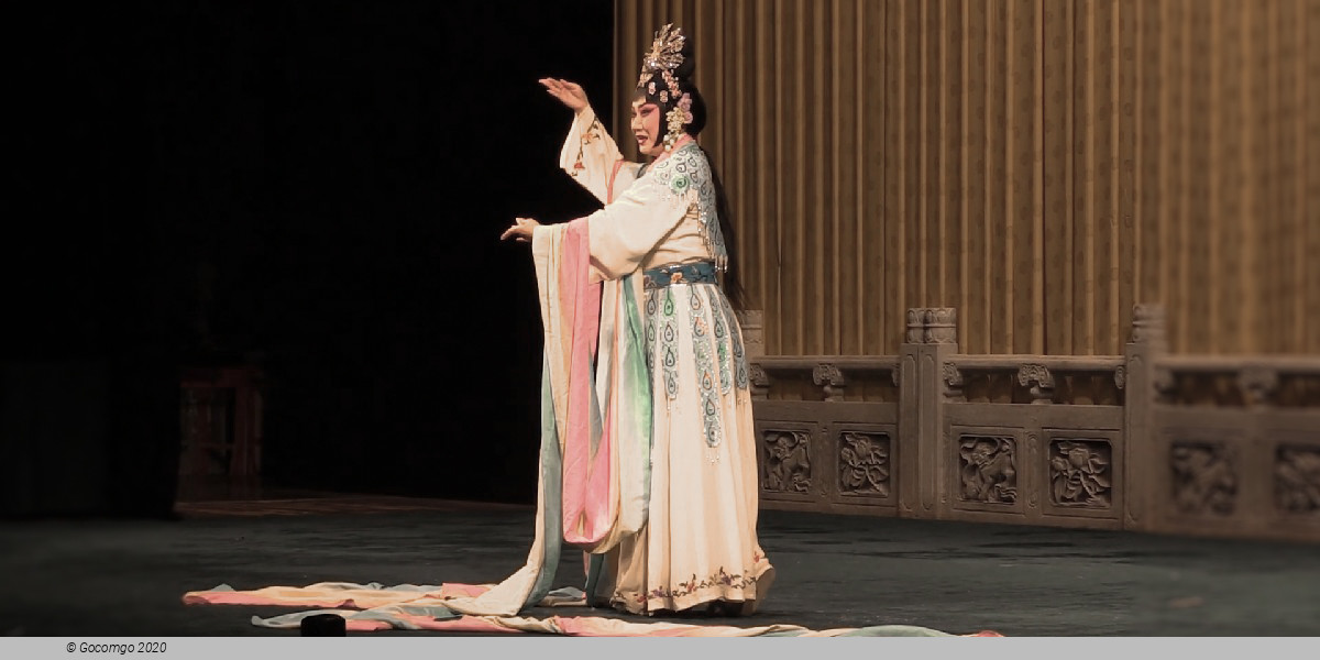 Scene 7 from the Peking Opera Show, photo 7