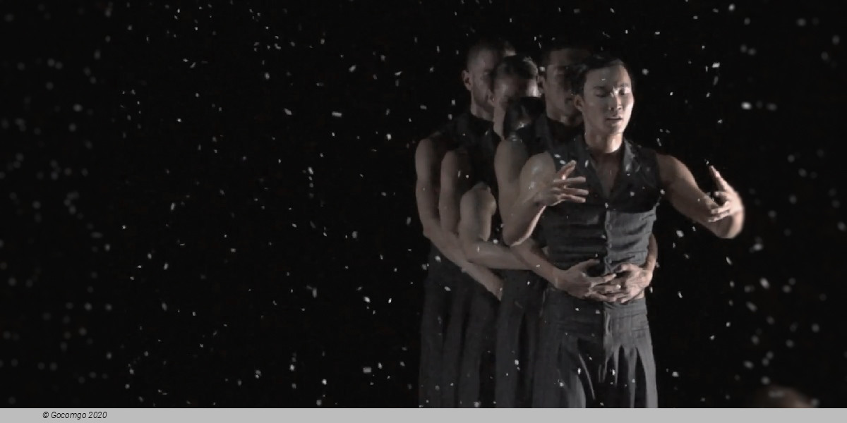 Scene 6 from the modern ballet "Solo Echo", photo 5