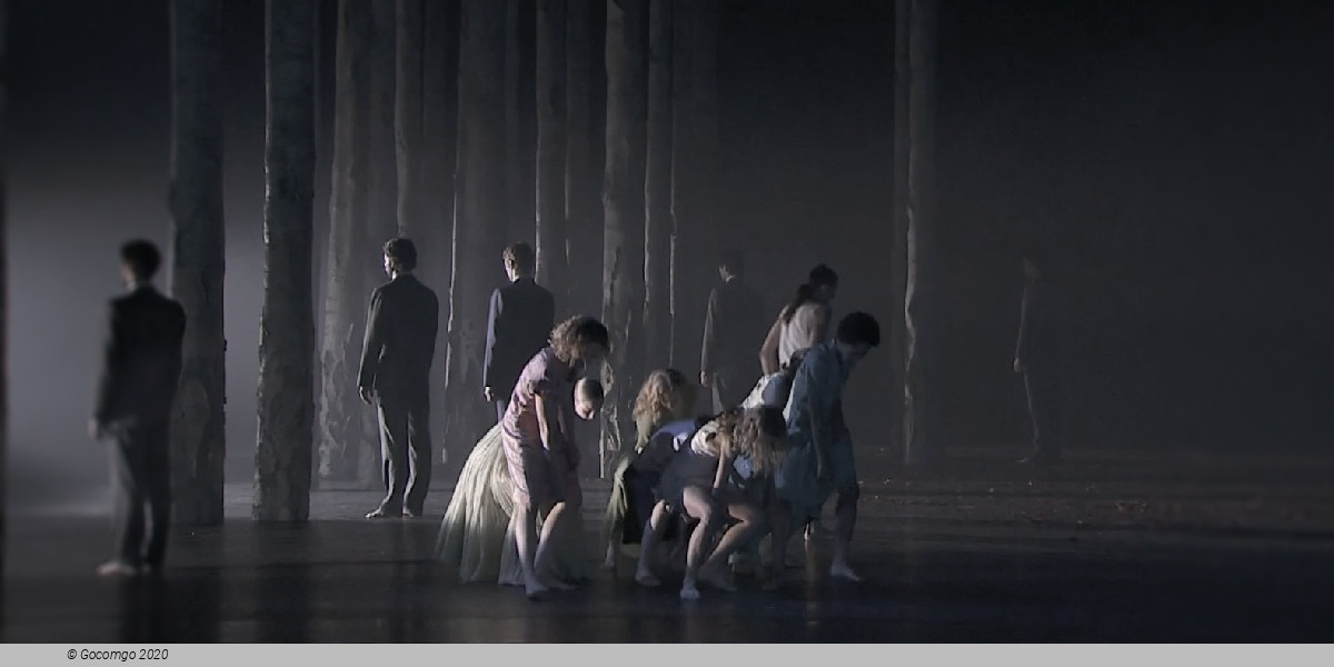 Scene 1 from the modern ballet "Verklärte Nacht", photo 4