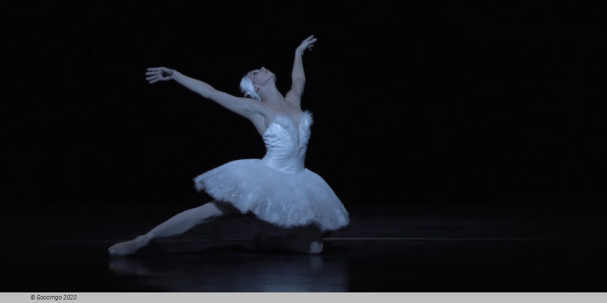 Ibstage Stars Gala, photo 1