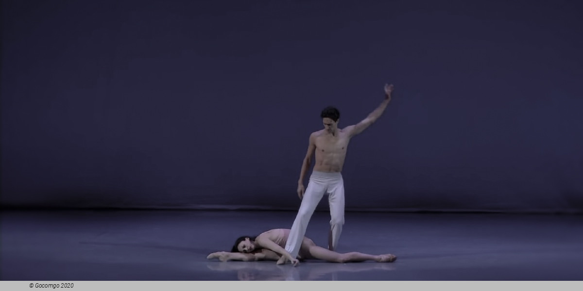 Scene 2 from the modern ballet "After the Rain Pas de deux", photo 5