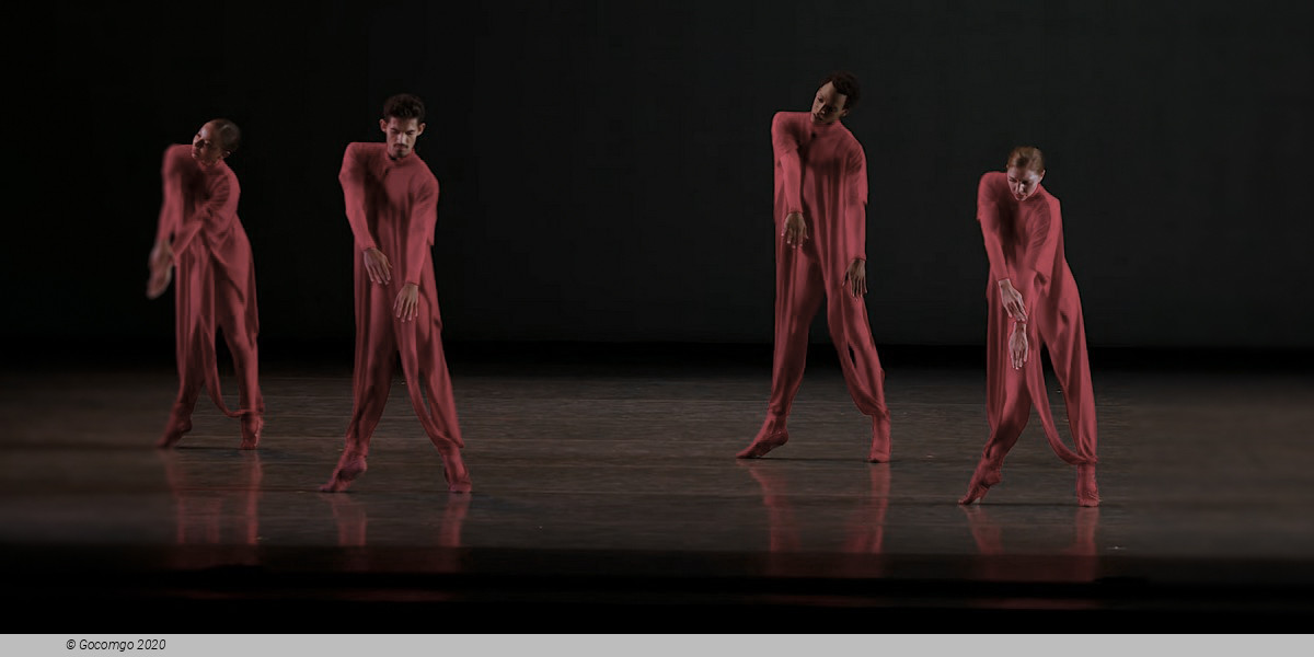 Scene 5 from the modern ballet "Gustave le Gray", photo 14