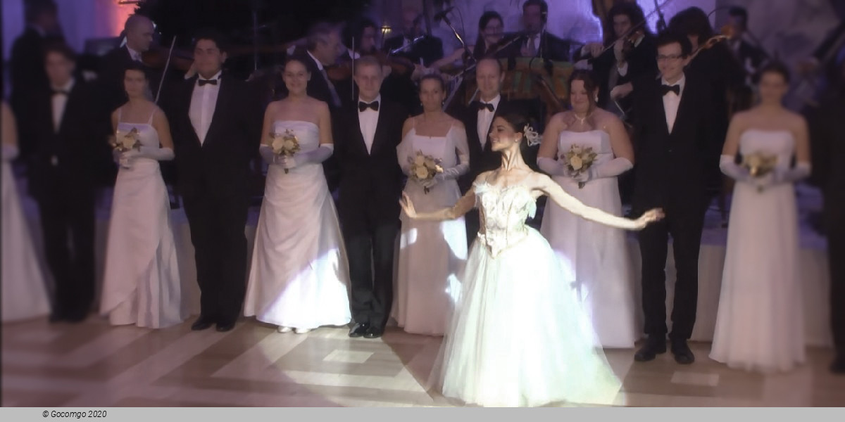 Johann Strauss Ball, photo 3, photo 4