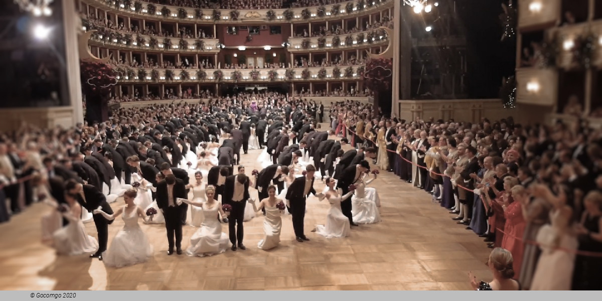 All Waltzes - New Year's Eve Gala, photo 4, photo 4