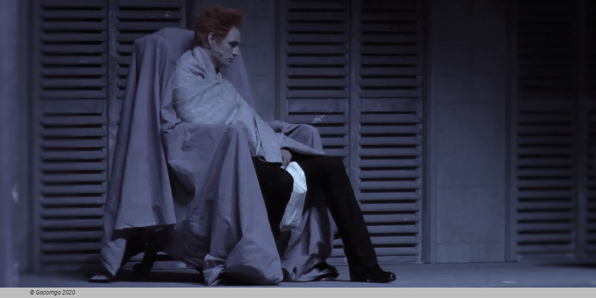 Scene 6 from the musical "Vivaldi - The Fifth Season", photo 6